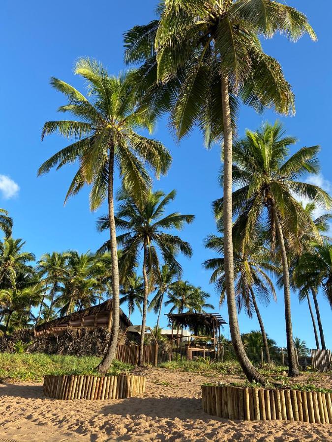 Bahia Surf Camp Abrantes Exterior foto