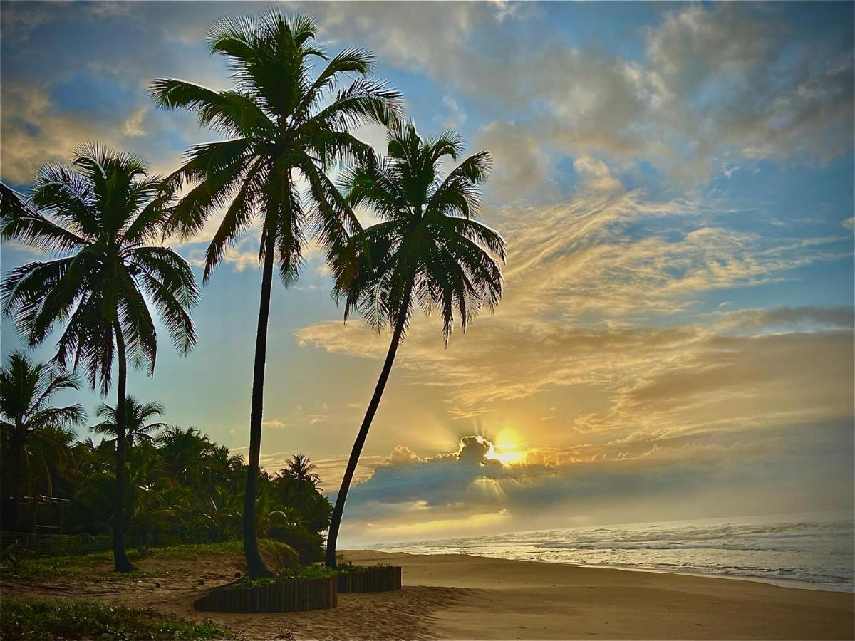 Bahia Surf Camp Abrantes Exterior foto