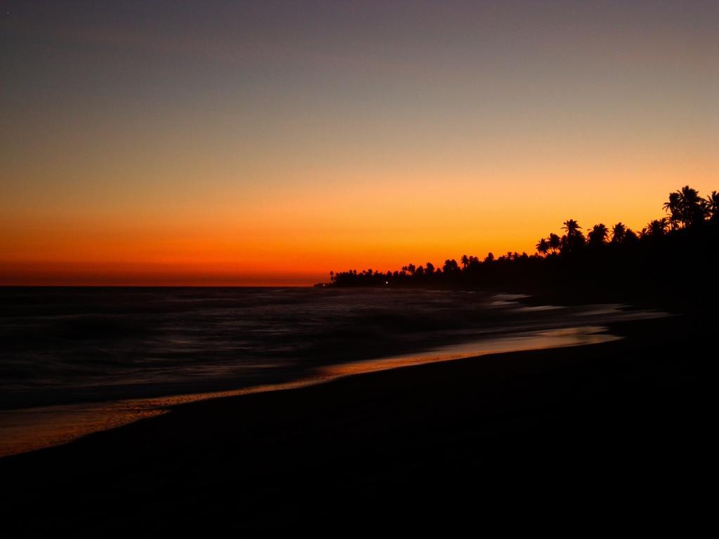Bahia Surf Camp Abrantes Exterior foto