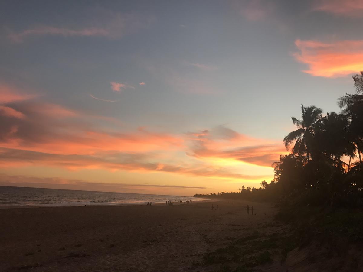 Bahia Surf Camp Abrantes Exterior foto